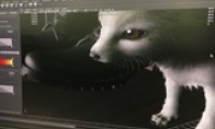 Wonderful biological Square "Final Fantasy 15" new design drawings announced