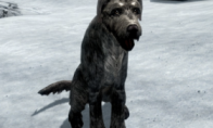 For a dog falling into hell!"Elder Scrolls 5" Players to raise dogs