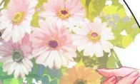 Hurry up!Pre -order "Extreme Elimination 3" will receive high -end color pages atons