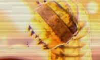Nostalgic wind shooting "Bulls Bullet" creates a bull -headed version of "Soul Dou Luo"