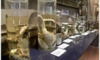 The first Tintin Museum in the world is full of real real goods