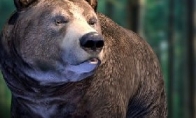 Players are constantly changing their minds and updating the developers of "Sims"