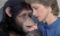 If you only see "hard porn", you will ignore the wonderful 90%of this forbidden film