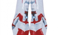 Wearing it out is shame Play Ultraman launched the 50 -year -old canvas shoes