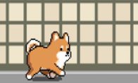 Shiba Inu parkour game "Montrao" landed on Steam price of only 0.99 knives