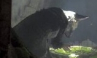The producer said that the "Last Guardian" has not expected the long development cycle