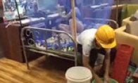 The strongest player in history: Is this the rhythm of moving the bed in the Internet cafe?