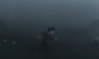 Dark -colored game "INSIDE" demonstration release exploration in the black and white world