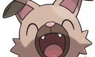 The latest elves of "Pokemon Sun Moon" announced!Do you think it's cute?