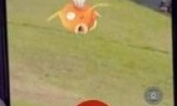Renhong is a non -multi -non -"Pokemon GO" Holocaust site being harassed