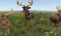 Destined to be chased through the adventure mobile game "Life of the Deer" experience