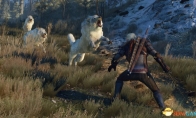 White Wolf VS White Wolf "Witcher 3: Crazy Hunt" latest high -definition game screenshot enjoyment