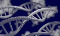 DNA存儲數據新突破 每次可讀取25個文件