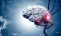 马斯克脑机接口设备2021年进入人脑_马斯克脑机接口公司将进行人体试验