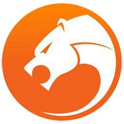 猎豹安全浏览器8.0.0.21681