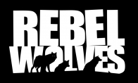 Rebel Wolves聘请《巫师3》资深人士为创意总监 3A奇幻RPG开发中