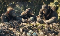 《猩球崛起4：新世界》7分鐘加長版片段曝光