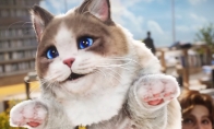 韩国模拟游戏《inZOI》全新预告 猫猫好可爱!