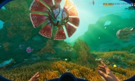 Unknown Worlds公开《Subnautica 2》最新信息