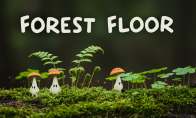 "Forest Floor" Steam is launched