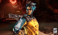 "Borderlands 4" Secret Hunter's skin appearance display Familiar style