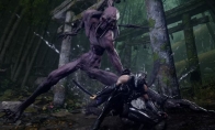 "Ninja Dragon Sword 4" Goes Against the Current: Developers Reject "Soul-like" Trend