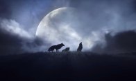 "Dawn Walker's Blood" new trailer