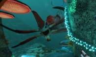 The first generation of "Deep Sea Trek" and "Under the Freezing Point" received updates and signific