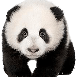 熊猫精灵脚本助手3.5.4.0