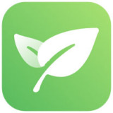 新榜小豆芽4.1.11