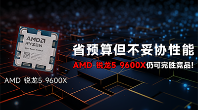 省预算但不妥协性能，仅有D5单通道的AMD 锐龙5 9600X仍可完胜竞品的D4双通道方案