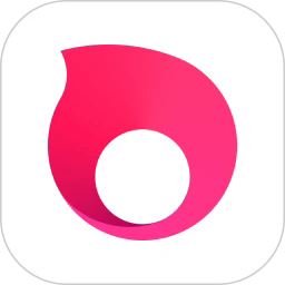 贝锐洋葱头3.1.3.6