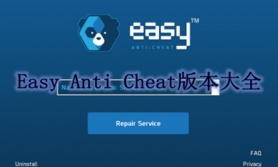 Easy Anti Cheat版本大全