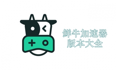 鲜牛加速器版本大全