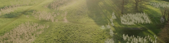 3DM《最终幻想13》详细评测：系列大作蹩脚移植_3DM专栏