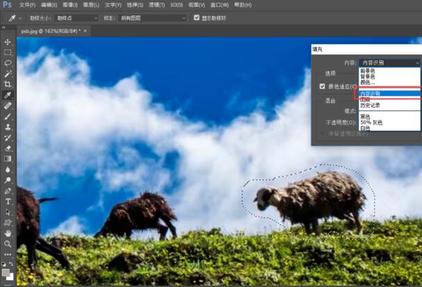 Photoshop CC  2017