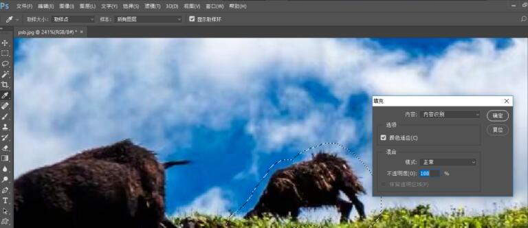 Photoshop CC  2017