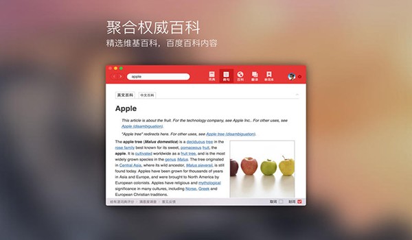 有道词典Mac版2.9.2
