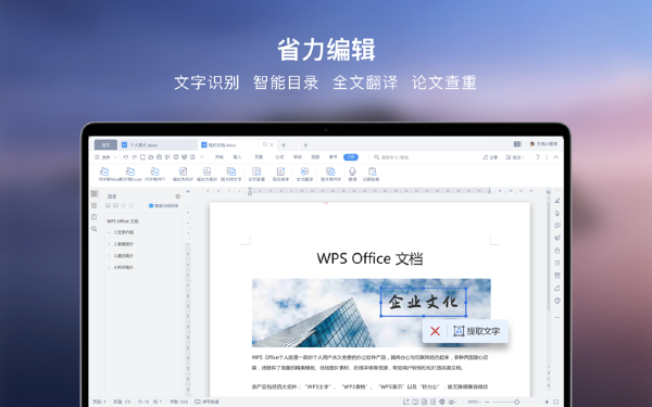 WPS Word3.9.4