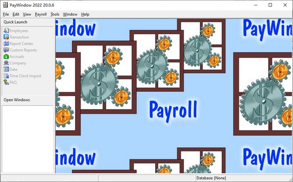 PayWindow 2022(薪酬管理软件)v20.0.6