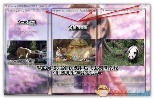 迷你看图软件(Image Eye)v8.0