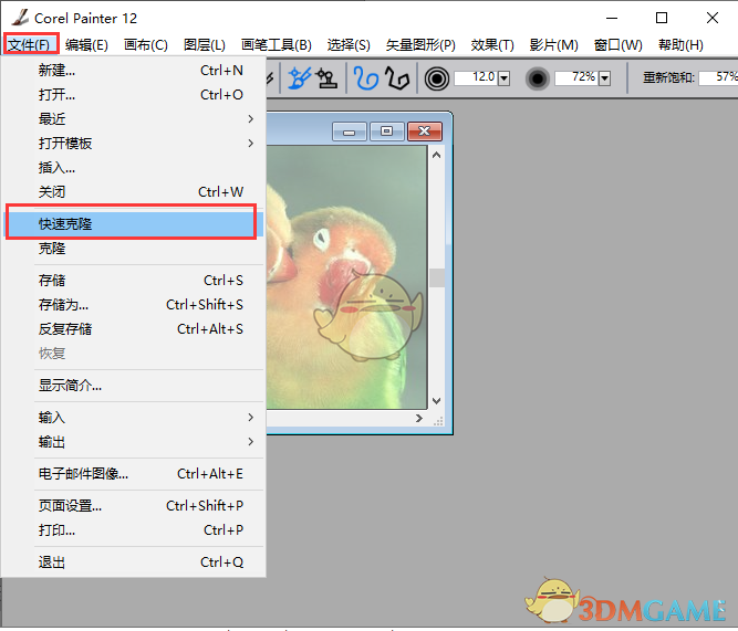 Corel Painter12官方版v12