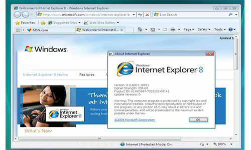 IE 8 浏览器v8.0.6001.18691