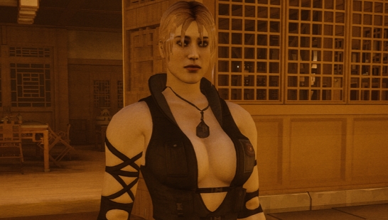 《师父》真人快打 (2011)-Sonya Blade mod