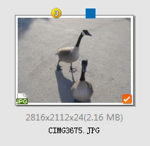 Viewlet 图像管理大师V3.0