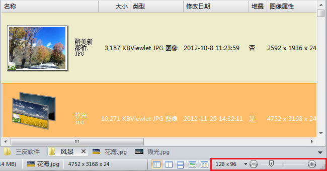 Viewlet 图像管理大师V3.0