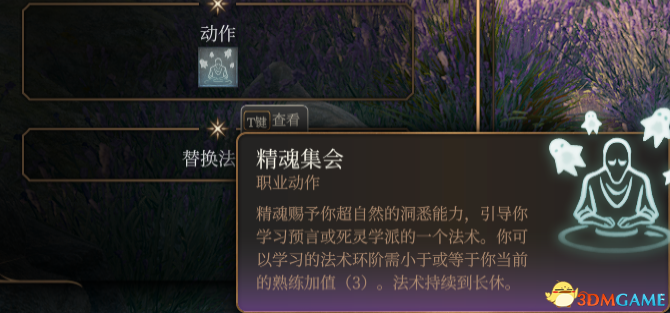 《博德之门3》诗人子职：精魂学院MOD