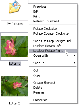 JPEG Lossless Rotator-9.2