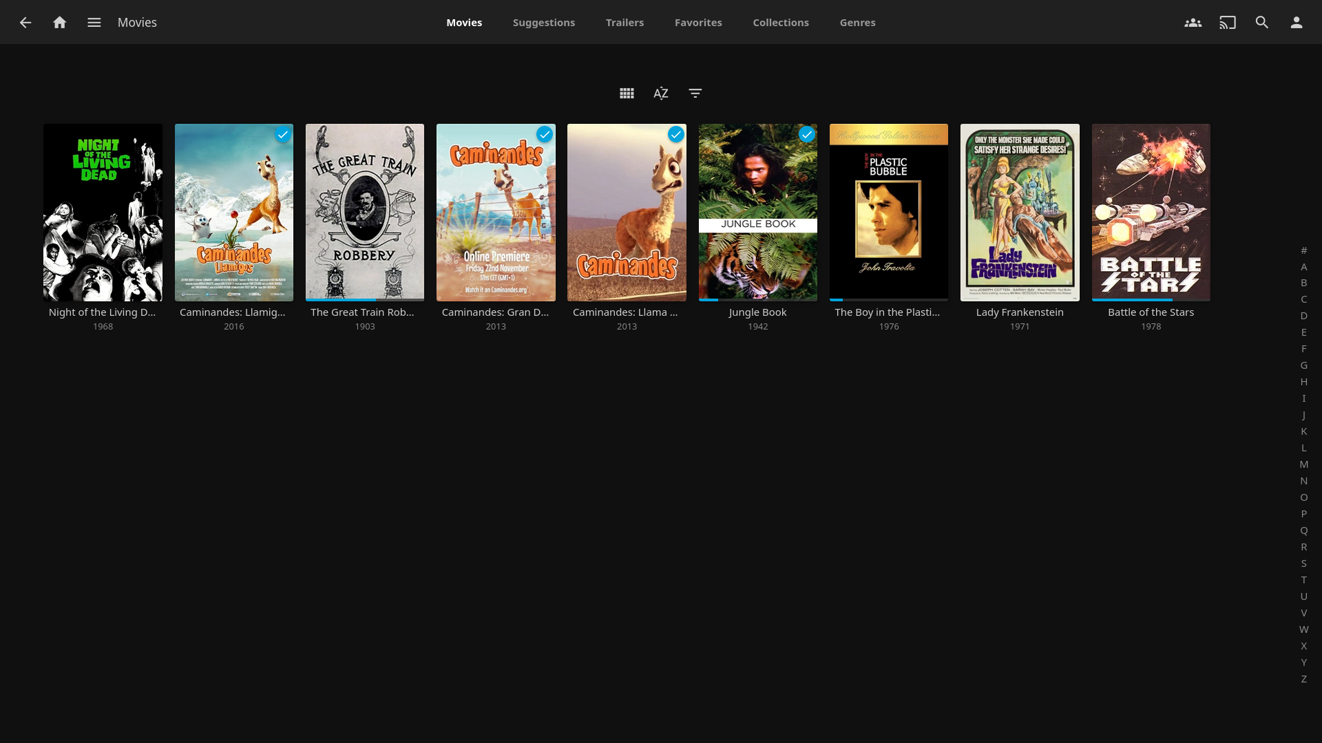 Jellyfin10.8.12-web_便携版
