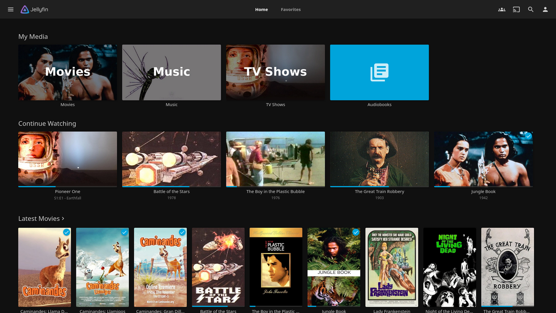 Jellyfin10.8.12-web_便携版